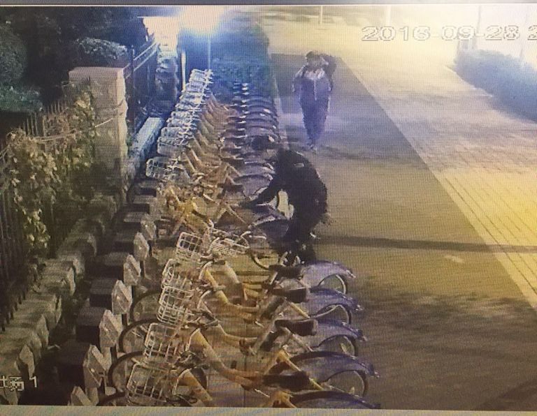 OG���ˡ�(�й���)�ٷ���վ