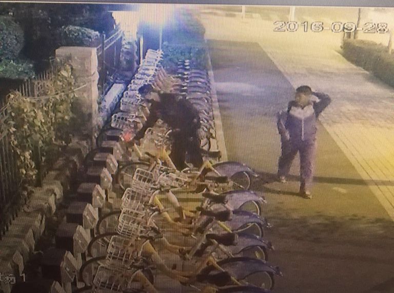 OG���ˡ�(�й���)�ٷ���վ