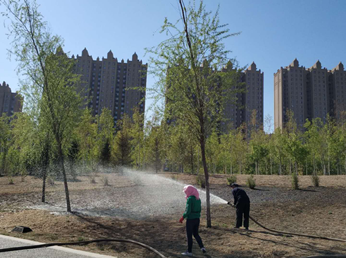 OG���ˡ�(�й���)�ٷ���վ