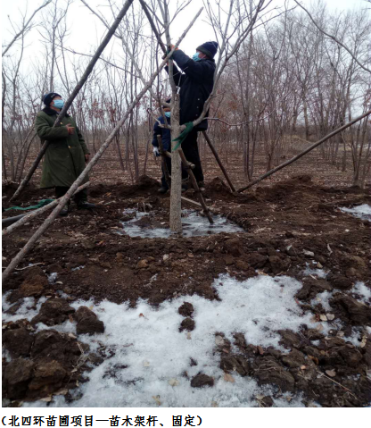 OG���ˡ�(�й���)�ٷ���վ