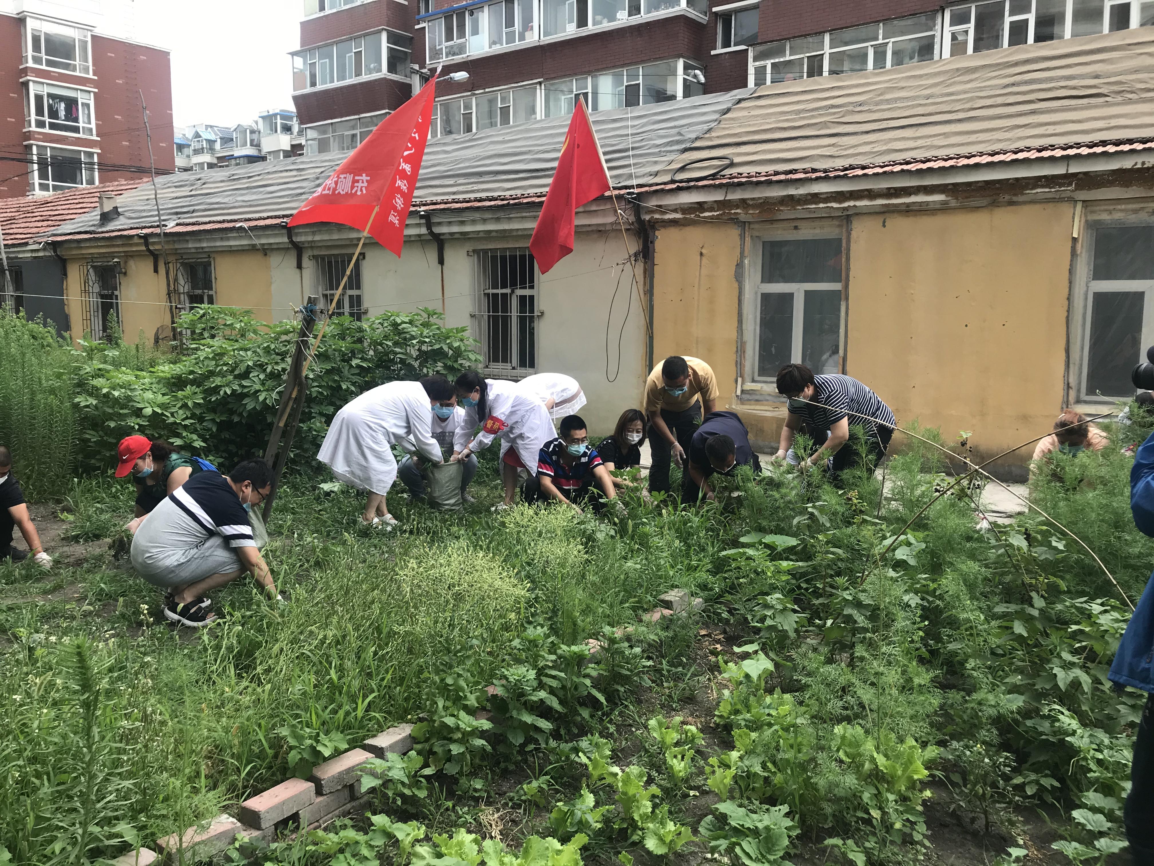 OG���ˡ�(�й���)�ٷ���վ