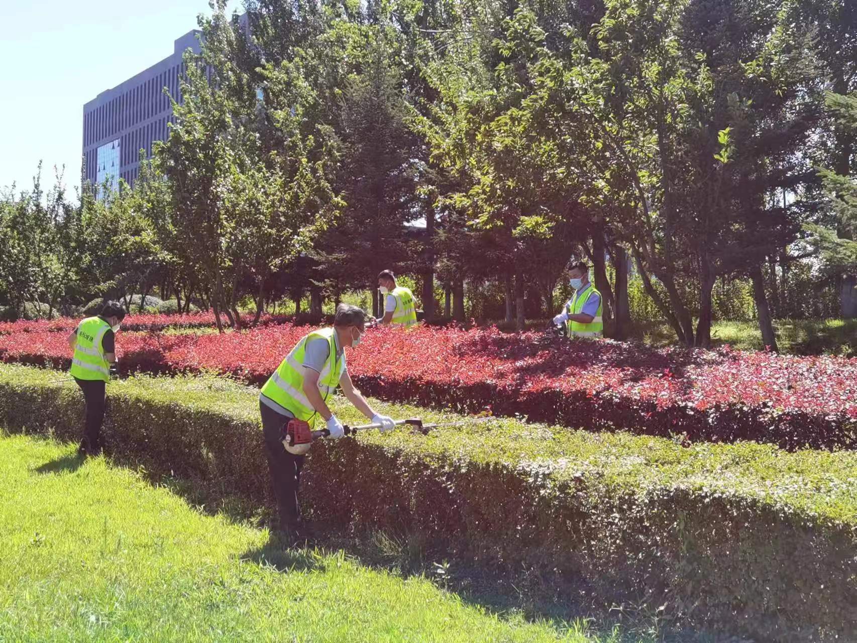 OG���ˡ�(�й���)�ٷ���վ