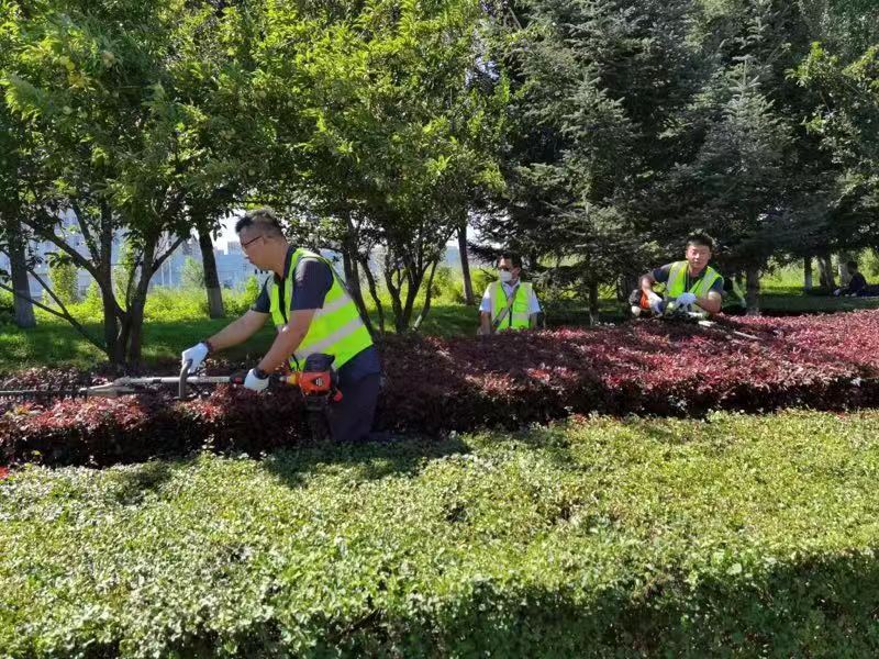 OG���ˡ�(�й���)�ٷ���վ