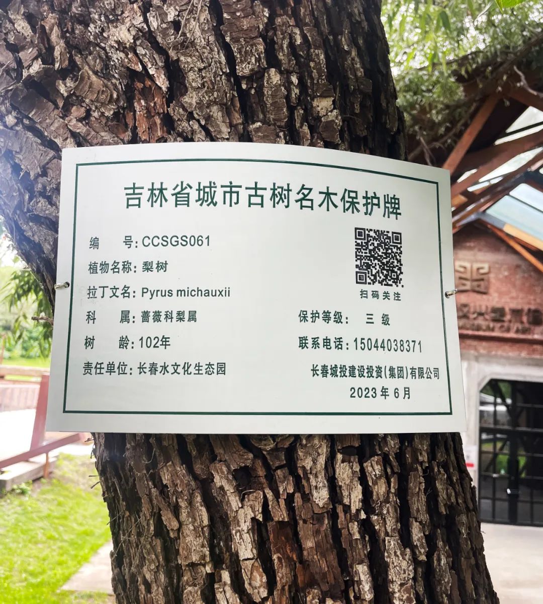 OG���ˡ�(�й���)�ٷ���վ