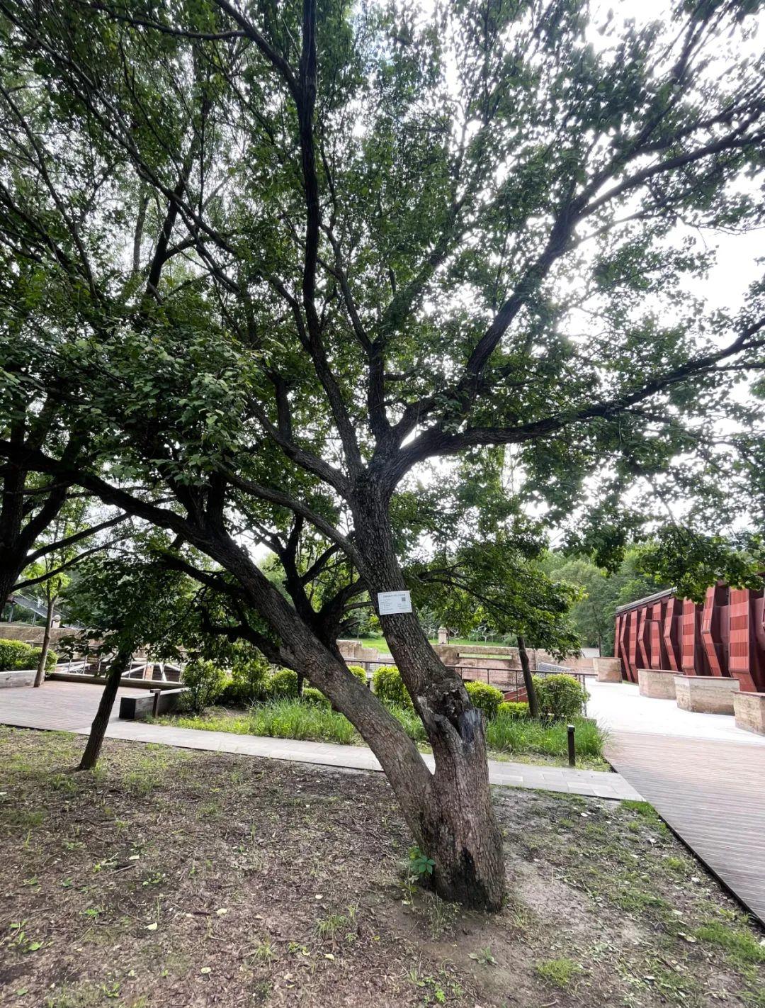 OG���ˡ�(�й���)�ٷ���վ