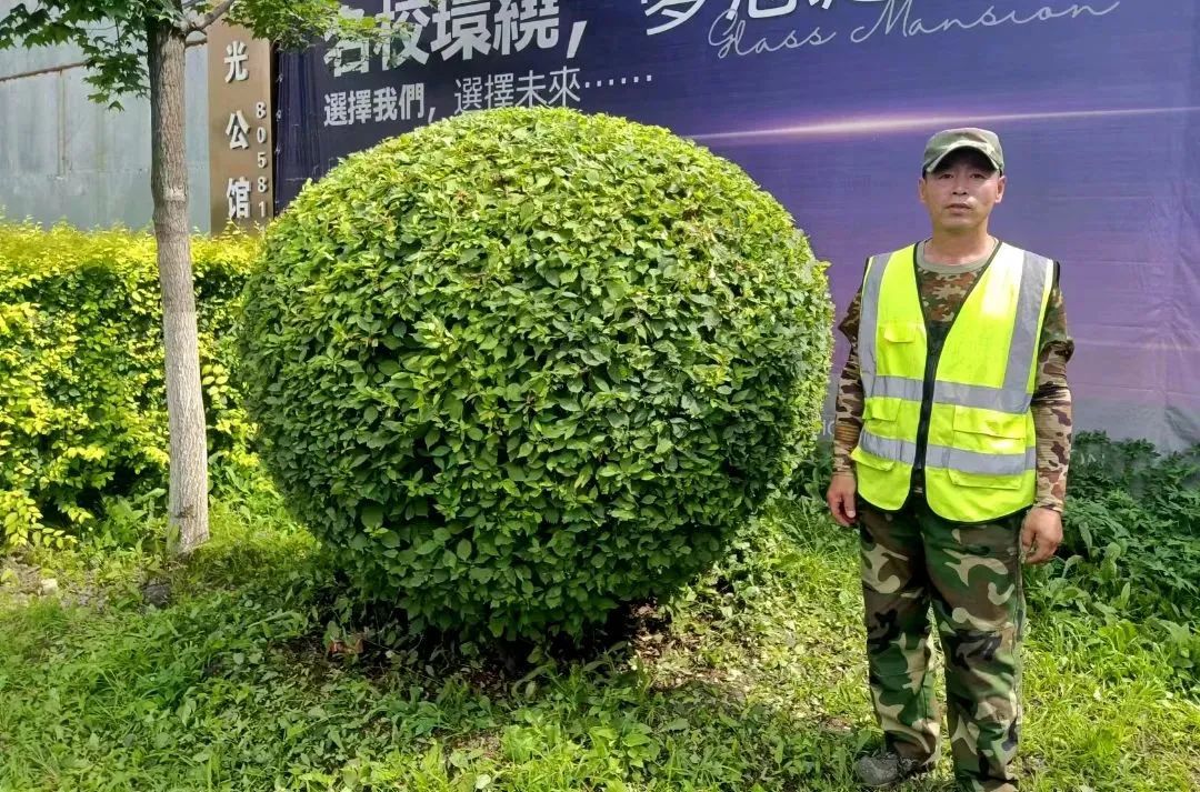 OG���ˡ�(�й���)�ٷ���վ