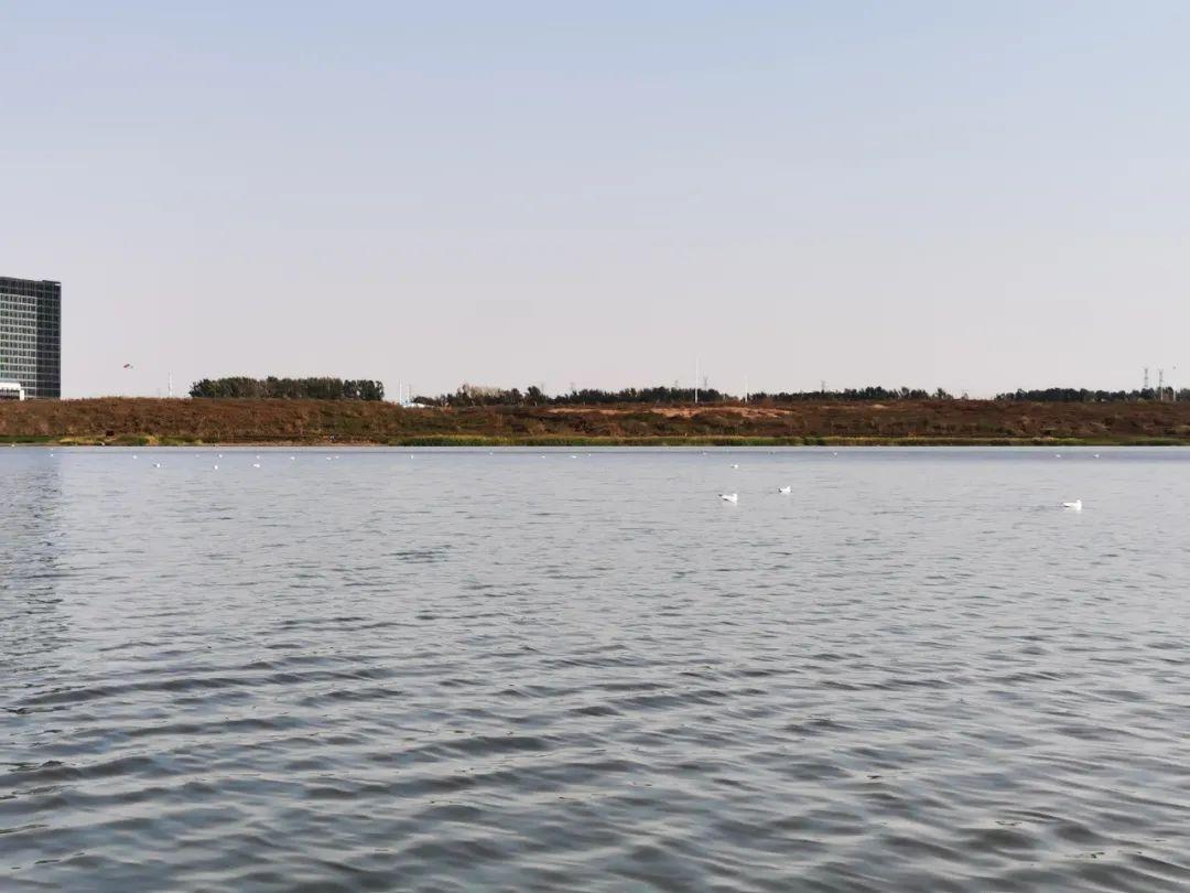 OG���ˡ�(�й���)�ٷ���վ